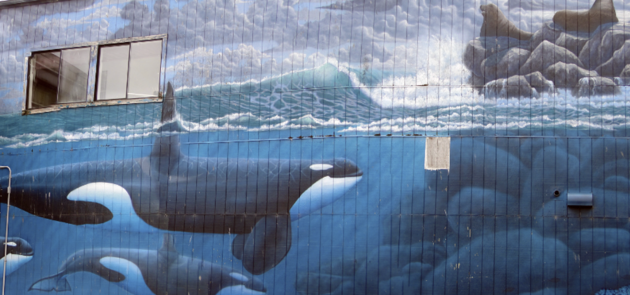 whaling walls in seattle